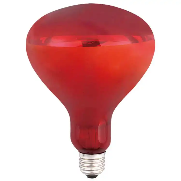 R125-E27-RED,What is Special Bulbs